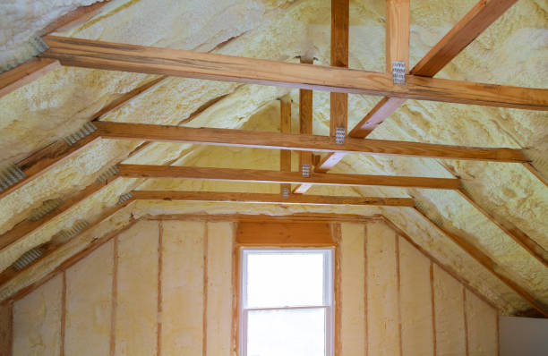 Best Specialized Insulation Services in Chieand, FL