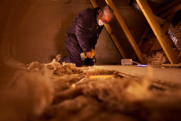 Best Blown-in Insulation in Chieand, FL
